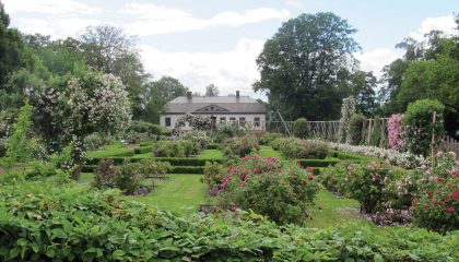 Boken om Rosenlunds Herrgård